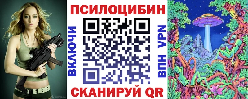 Псилоцибиновые грибы Psilocybine cubensis  Купить  Борзя 